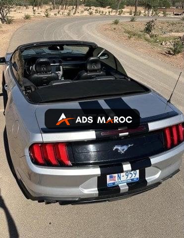 Mustang 2019 convertible 2.3 ecoboost