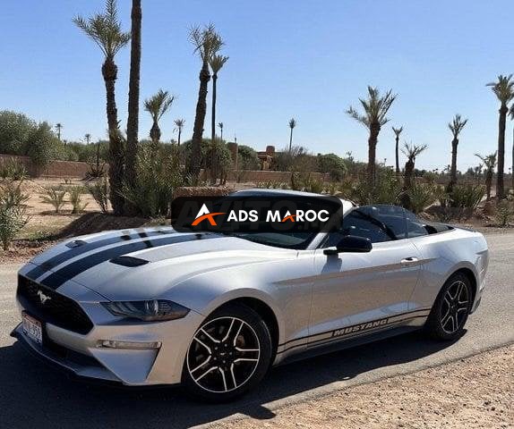 Mustang 2019 convertible 2.3 ecoboost